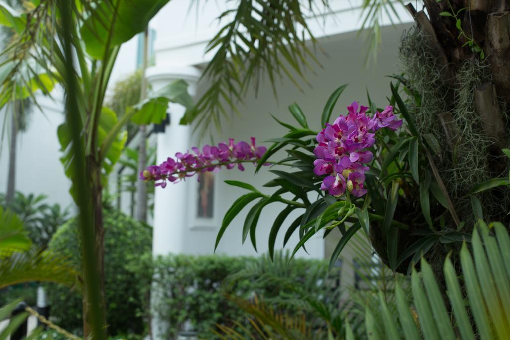 Marvel Holiday Boutique Villa Сиемрип Экстерьер фото